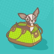 Cute dog in bag
