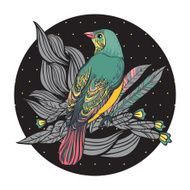 Birds with feathers and flowers Hand drawn circle vector