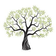 Vector olive tree N2