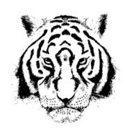 Hand Drawn Tiger grunge front portrait