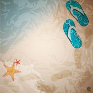 sandals and starfish at beach nature summer vector background N3