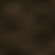 background abstract skin texture brown