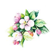 Background with decorative flowers N3