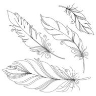 Vector Peerless Decorative Feather N22