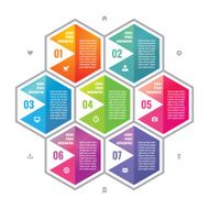 Business infographic concept colored hexagon blocks in flat style design