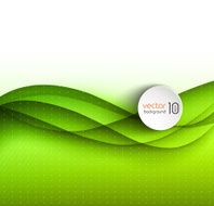 Abstract curved lines background Template brochure design N135