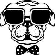 Dog with bow tie and glasses N2