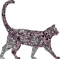 The laced cat
