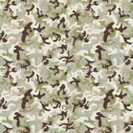 Camouflage pattern N3