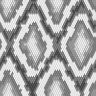 Seamless python snake skin pattern Vector illustration N3