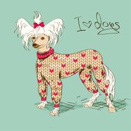 Illustration with Chinese Crested dog