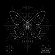 Butterfly Geometric composition on a black background