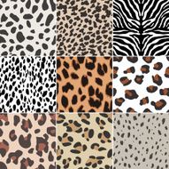 seamless animal skin swatch