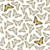 Vector Seamless Ornament with Butterfly