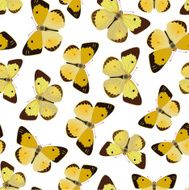 Vector Seamless Ornament