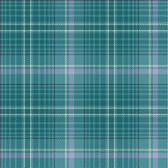 Seamless tartan pattern N56