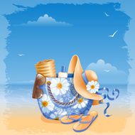 Beach Accessories N6