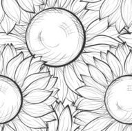 beautiful black and white seamless background with sunflowers N2
