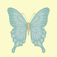 butterfly in a hand-drawn graphic style vintage colors