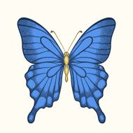 beautiful butterfly in pastel colors graphic style
