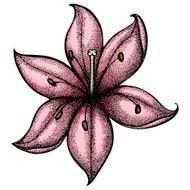 lily painted in a graphic style points and lines