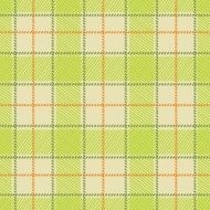 Fabric pattern N11