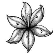 lily painted in a graphic style points and lines N2