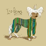 Illustration with Chinese Crested dog N2