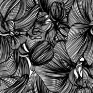 monochrome vector seamless pattern from graphic flowers N4