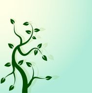 green tree spring background