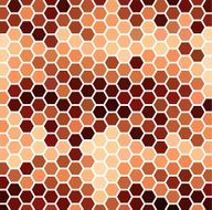 Brown Hexagonal Pattern N2