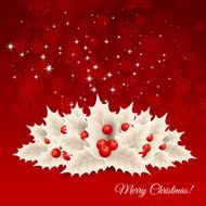 Vector christmas background with snowflakes and holly