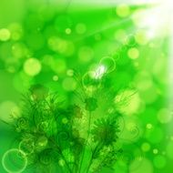 Floral background N561