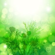 Floral background N562