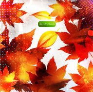 Fall Leaves N9