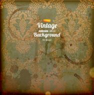 Ornate Pattern Background N4
