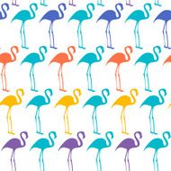 Flamingos N10