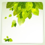 Vector background with stylish composition of green leaves N2