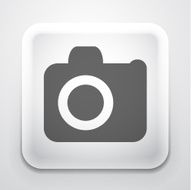 Vector camera button
