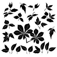 Leaves black silhouettes N2