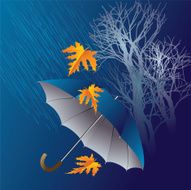 Autumn background with umbrella N3