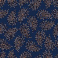 Seamless Paisley pattern N29