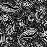 Black&amp;White paisley
