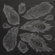 Vintage Feather vector set N2