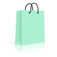 Blank Paper Shopping Bag With Rope Handles Mint Vector N3