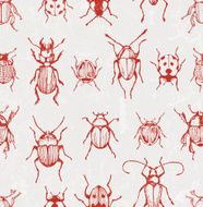 Seamless vector pattern with beetles