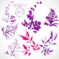 Watercolor Flowers Set N3