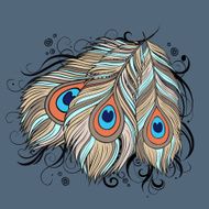 ethnic peacock Feathers