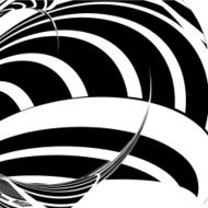 abstract black and white curve stripe pattern background N2