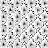 abstract black and white floral pattern background N6